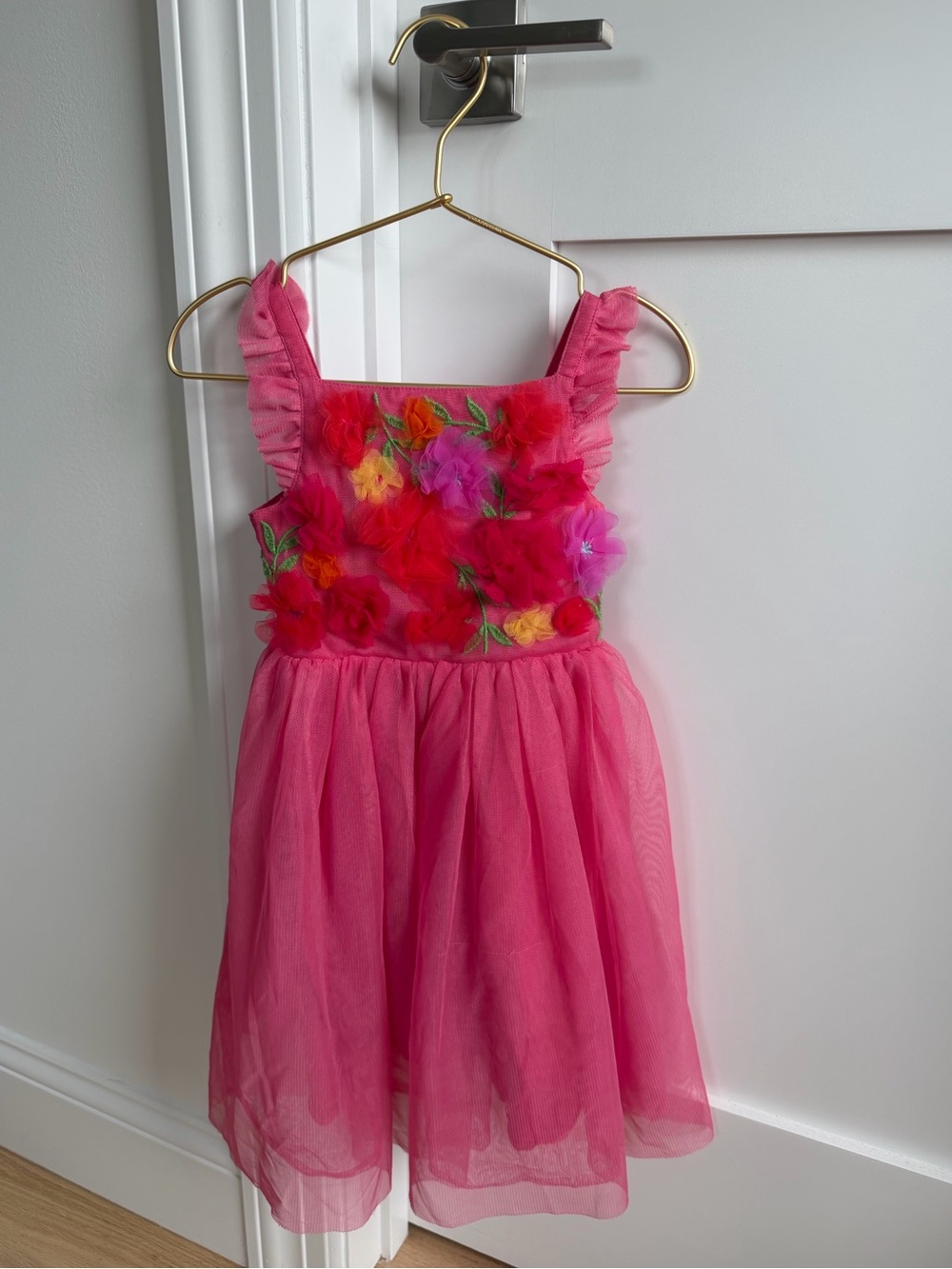 2-3Y Mini Boden Appliqué Tulle Dress (Retails $95)